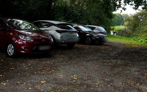 Places de parking à l'ombre des arbres.